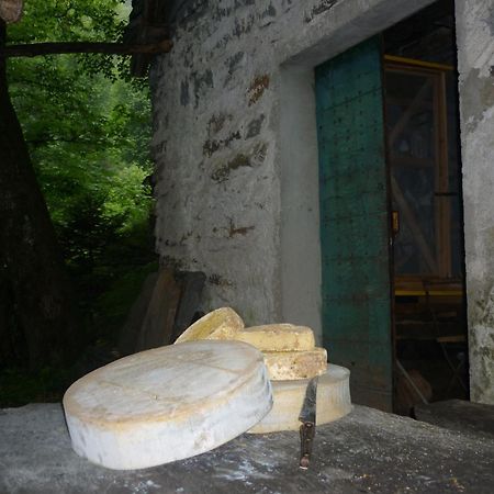 Bed and Breakfast Da Erminia Verdabbio Экстерьер фото